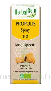 Herbalgem Propolis Large Spectre Solution Buvable Bio Spray/15ml à FLEURANCE